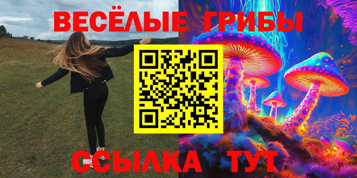 Галлюциногенные грибы GOLDEN TEACHER  Вход с VPN  Осинники 
