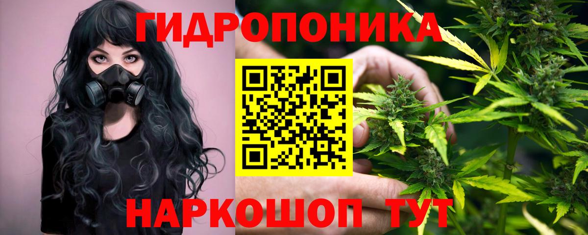 Осинники  МАРИХУАНА семена  Марихуана SATIVA & INDICA  Марихуана план  Вход с VPN 